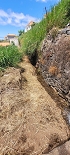 Plants: image 91 Of 208 Thumb